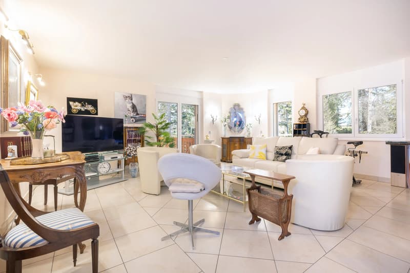 Duplex 5,5 pièces en attique (4)