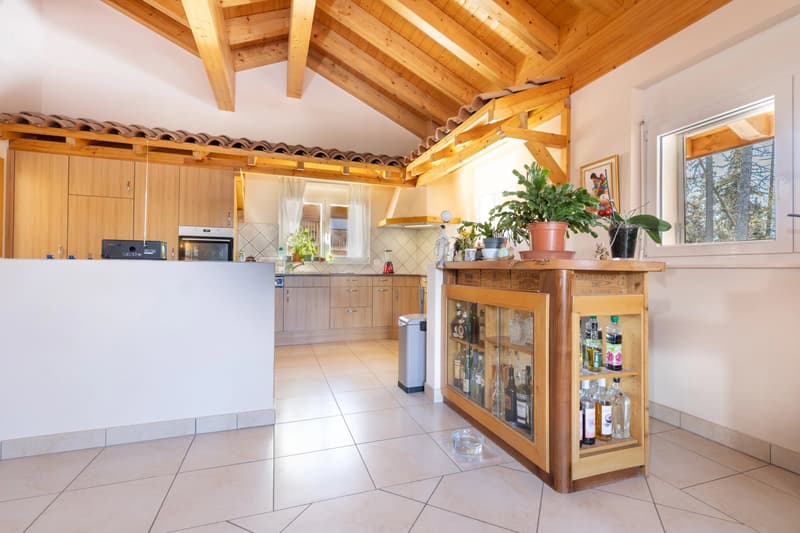 Duplex 5,5 pièces en attique (8)