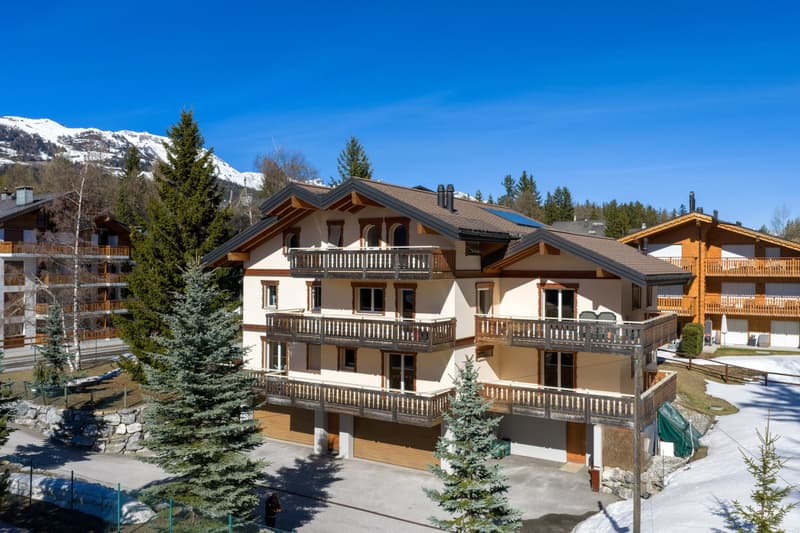 Duplex 5,5 pièces en attique (10)