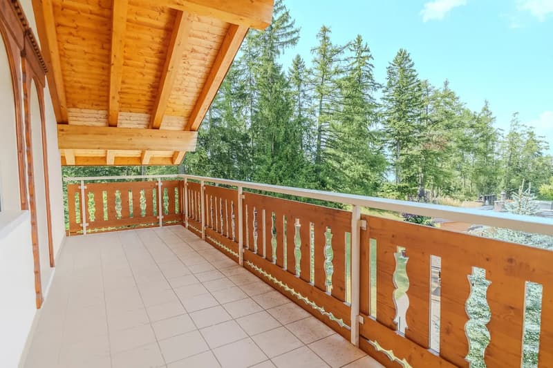 Duplex 5,5 pièces en attique (7)