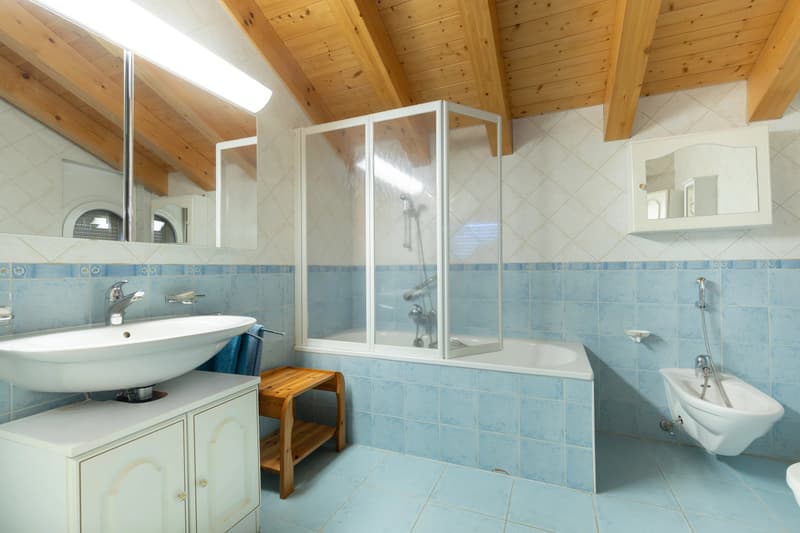 Duplex 5,5 pièces en attique (12)