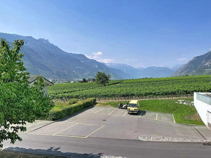 Appartement de 4 pièces au calme avec une belle vue (7)