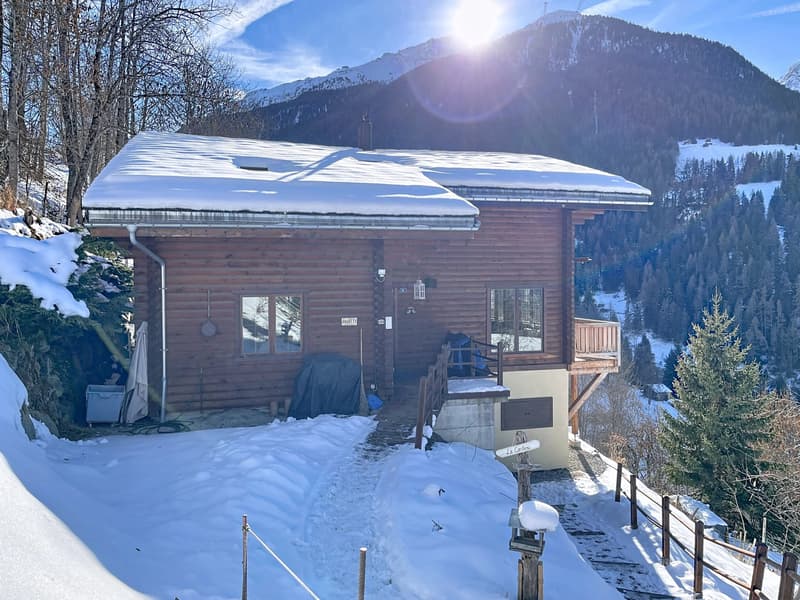 Chalet canadien en rondins avec deux appartements et vue imprenable (7)