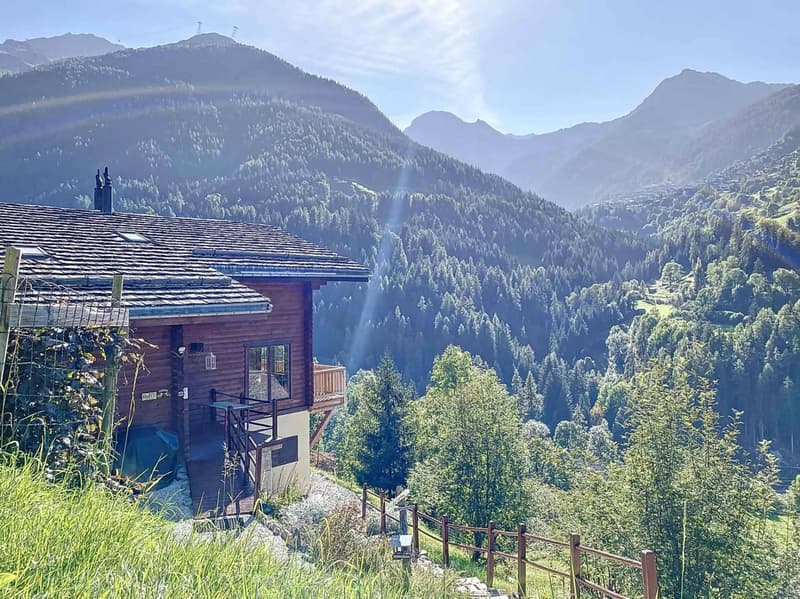 Chalet canadien en rondins avec deux appartements et vue imprenable (13)