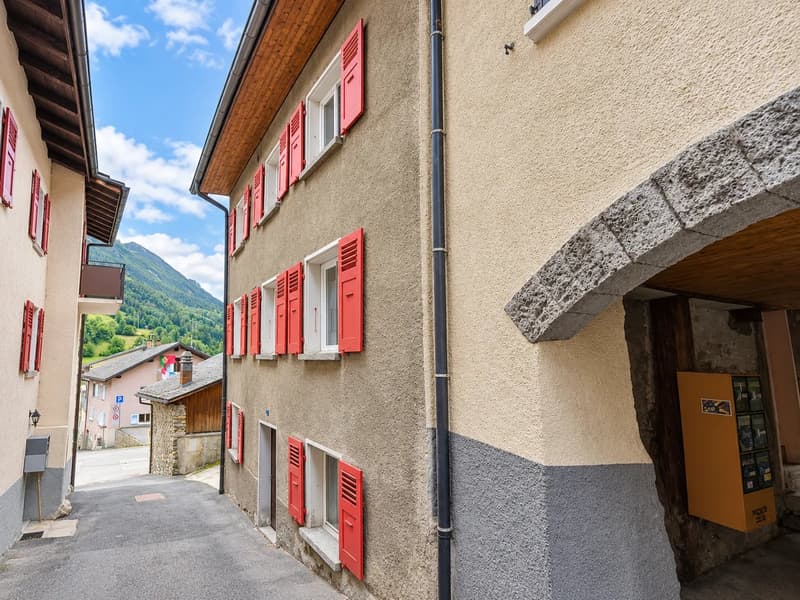 Spacieux appartement de 4.5 pièces avec fort potentiel d'agrandissement (1)