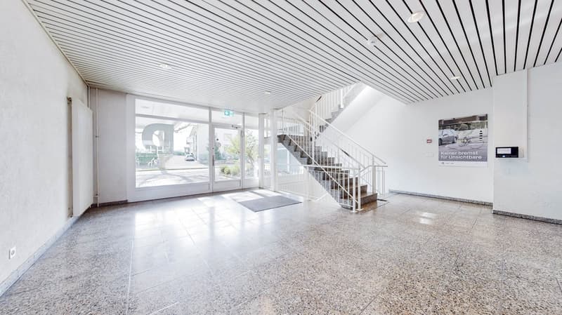 Entrance hallway, marble flooring, modern design, staircase, glass doors, outdoor view, poster