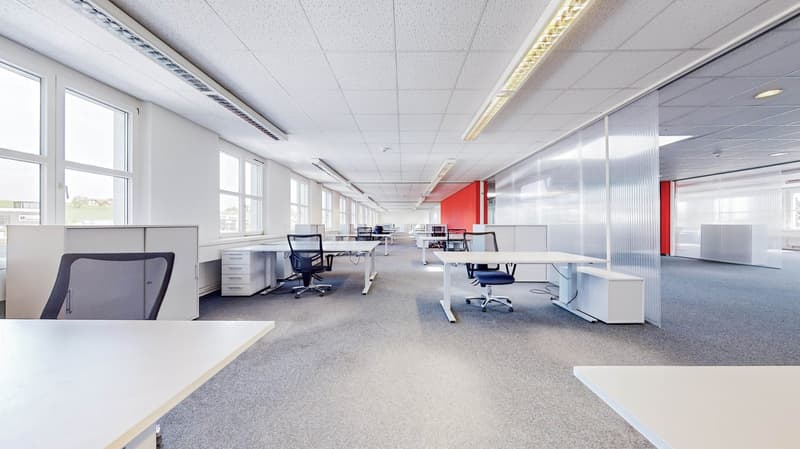 Multiple office desks, chairs, glass windows, grey carpet floor, fluorescent ceiling lights