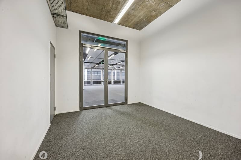 empty room, white walls, gray carpet, glass door, glass window