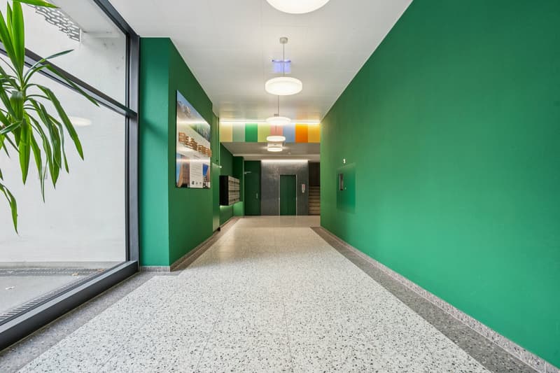 Neue 2-Zimmer-Wohnung in frisch saniertem Mehrfamilienhaus (2)