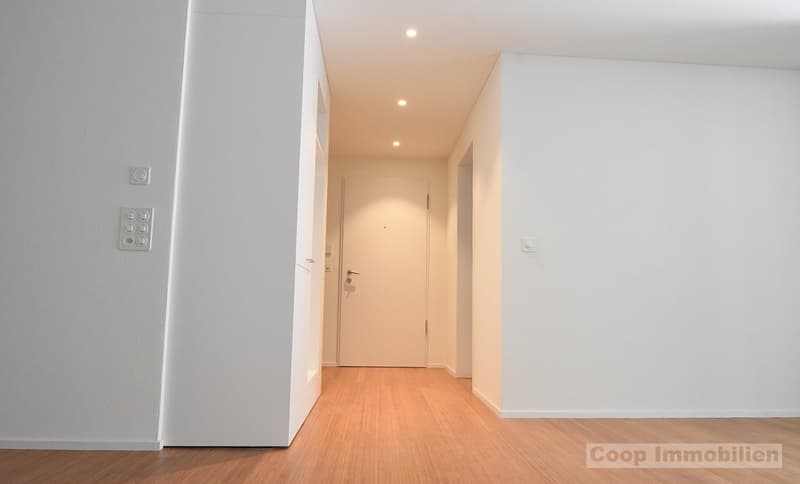 Moderne 2½ - Zimmer Dachwohnung (3)