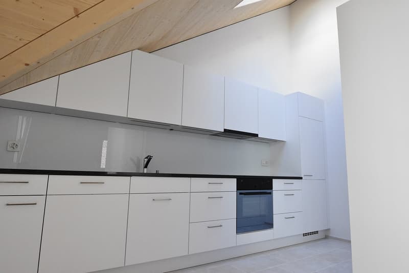 Moderne 2½ - Zimmer Dachwohnung (4)