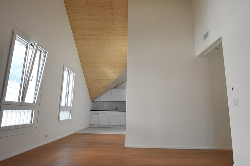 Moderne 2½ - Zimmer Dachwohnung (2)