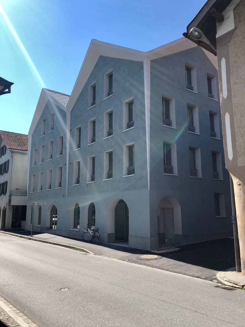Moderne 2½ - Zimmer Dachwohnung (1)