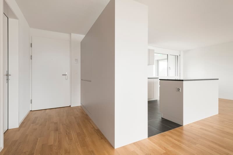 Moderne, grosszügige, helle 2.5-Zi-Wohnung im 2. OG (3)