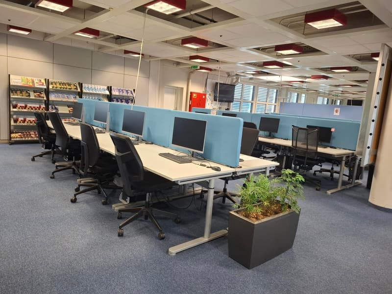 modern office with light blue partition walls, computers on desks, monitor, keyboard, mouse, potted plant