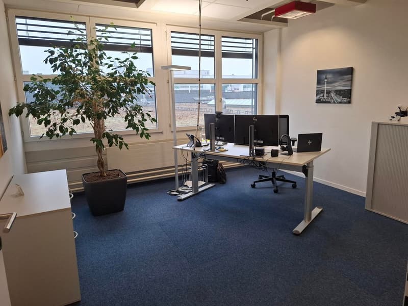 Office: desk, chairs, computers, potted plant, wall cabinet, cabinets, ceiling light