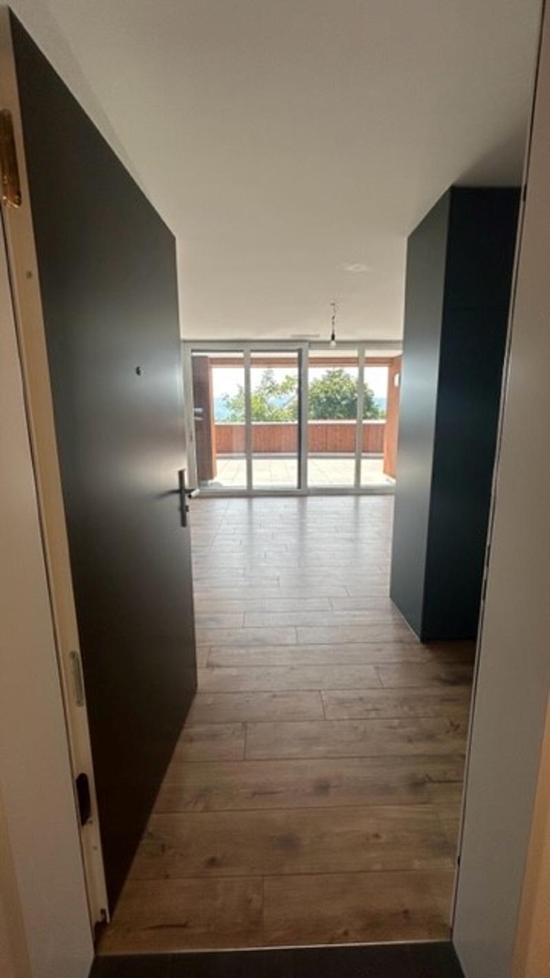 Moderne 2.5-Zimmer-Wohnung in Küsnacht - Neubau (3)