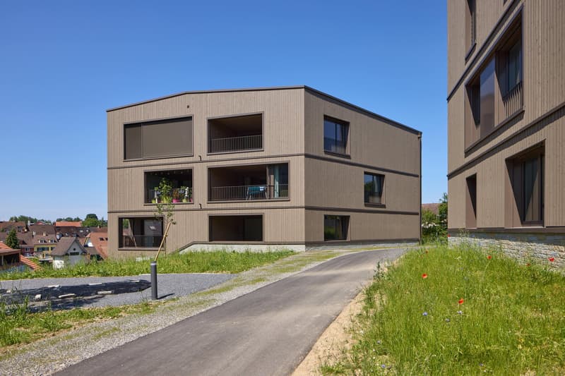 modern architectural design, brown exterior, multiple windows, balconies on each floor, grass surrounding