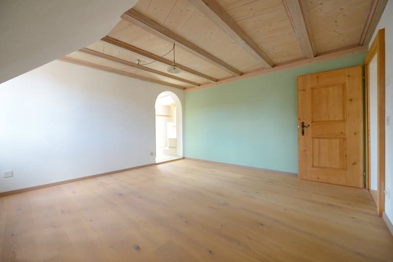 Amriswil-Hefenhofen - charmantes 5.5-Zimmer-Doppeleinfamilienhaus – sofort verfügbar! (15)