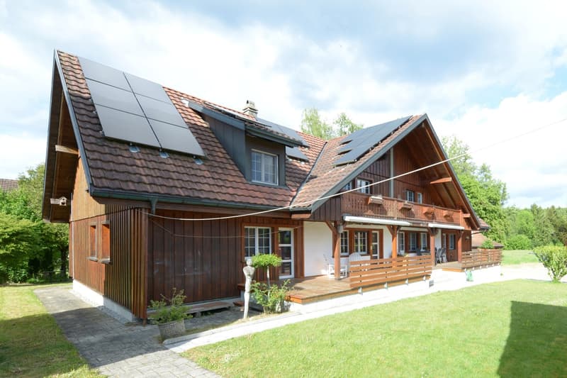 Amriswil-Hefenhofen - charmantes 5.5-Zimmer-Doppeleinfamilienhaus – sofort verfügbar! (1)