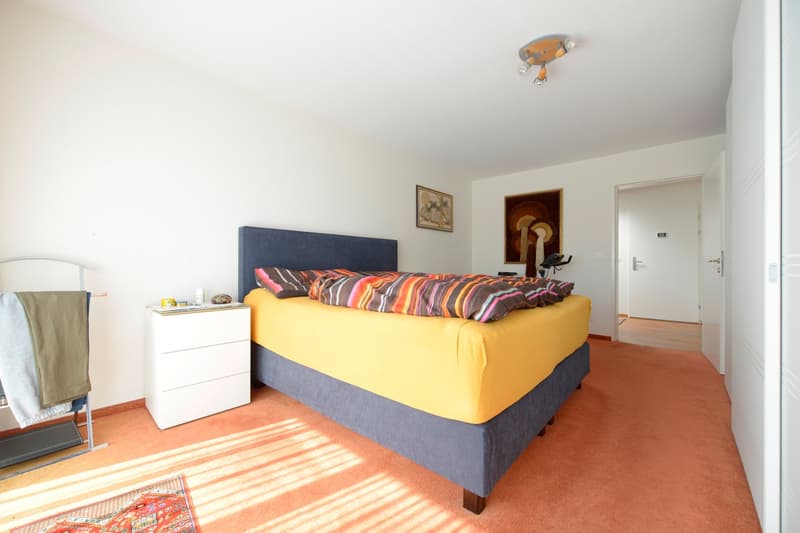 Traumhafte 4 1/2 Zimmer-Attika-Wohnung mit Lift, Terrassen und Aussicht (14)