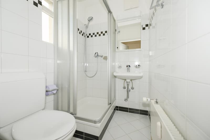 Traumhafte St. Galler Altstadt-Wohnung (14)