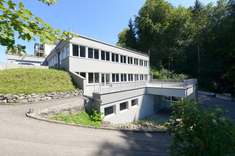 Attraktive Gewerbeliegenschaft in St. Gallen-St. Georgen (1)