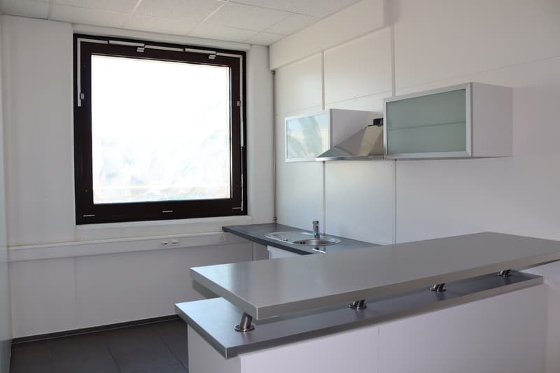 ZI ZIMEYSA - Satigny - Bureaux de 400 m2 (5)