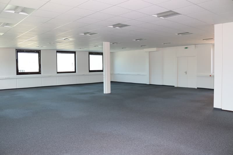 ZI ZIMEYSA - Satigny - Bureaux de 400 m2 (6)
