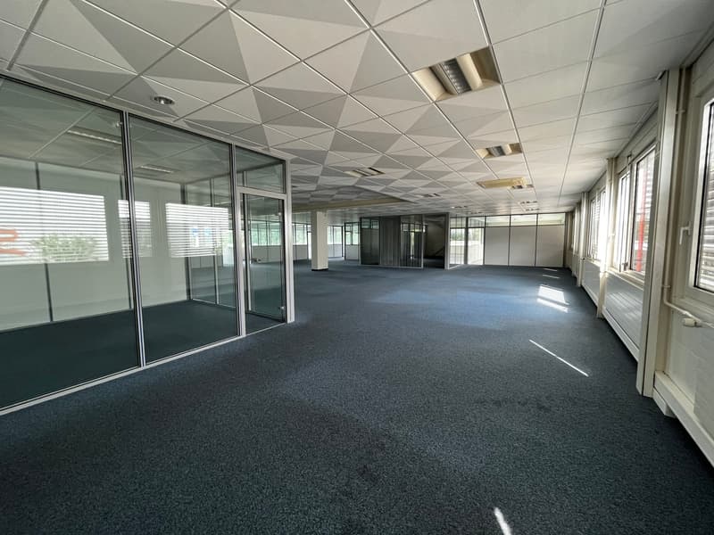 Surface de 750m2 - showroom - bureaux ou locaux (9)