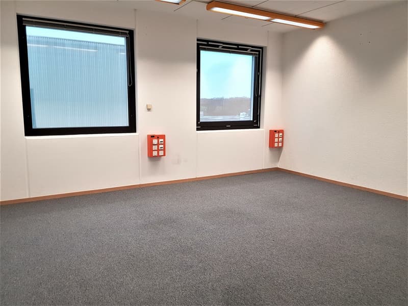 Surface de 860m2 bureau et/ou atelier - Satigny (3)