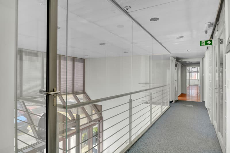 Bureau/commerce 540 m2 avec terrasse/zone verte (13)