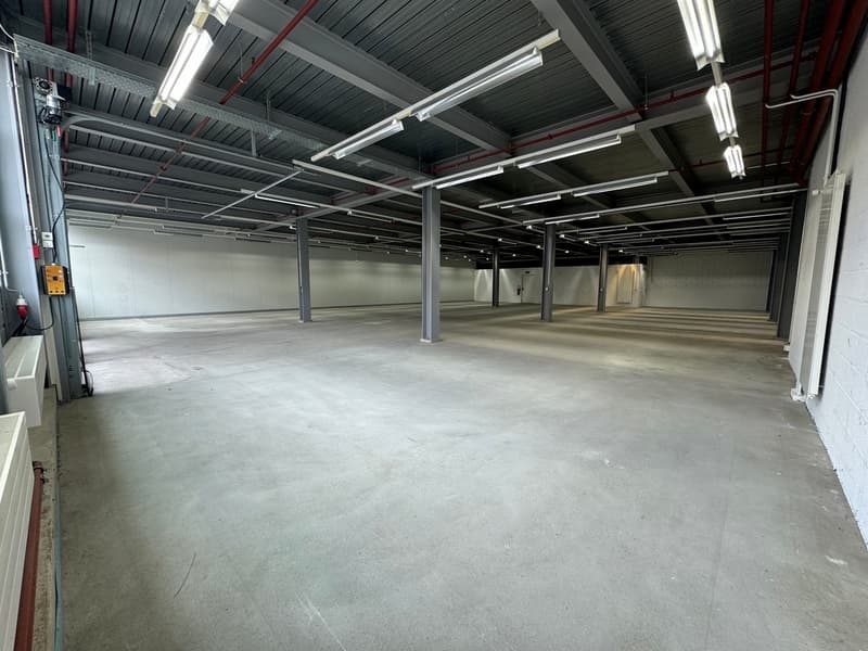 Opportunité -  ZI Champ-Colin - belle surface de 507m2 (3 mois offert) (4)