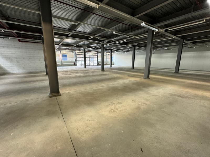 Opportunité -  ZI Champ-Colin - belle surface de 507m2 (3 mois offert) (3)