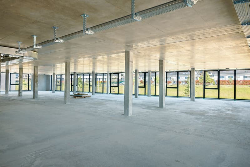 "IDEAL PARK" - Artisanal 1460 m2 (3)