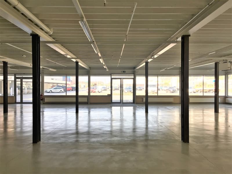 Arcade commerciale/magasin 510m2 - Zone commerces (3)