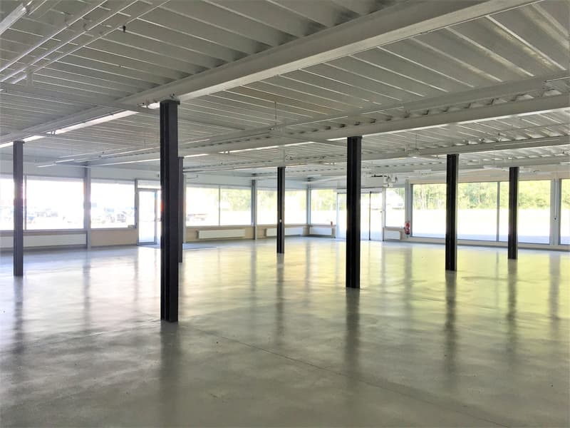 Arcade commerciale/magasin 430m2 - Zone commerces (2)