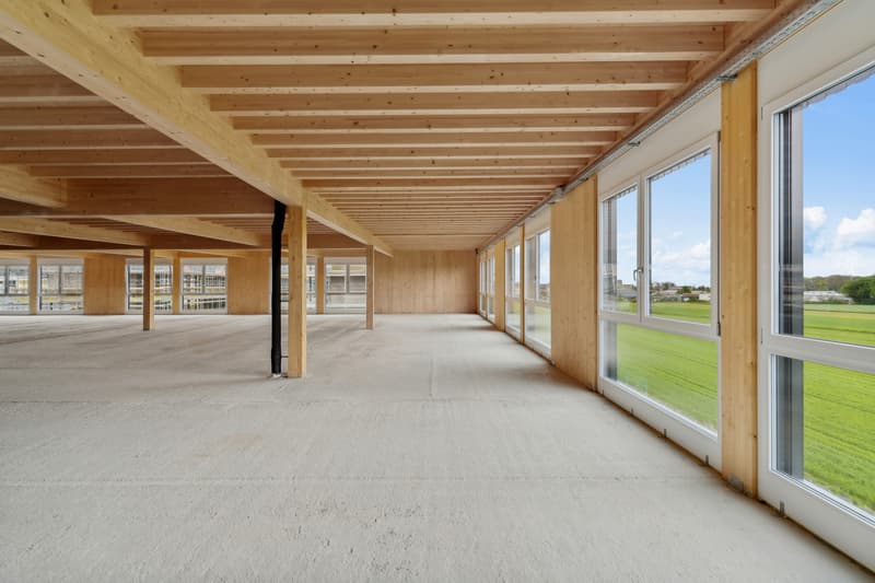 Nouveau à Gland - Belle surface administrative - bureau / 600m2 (4)