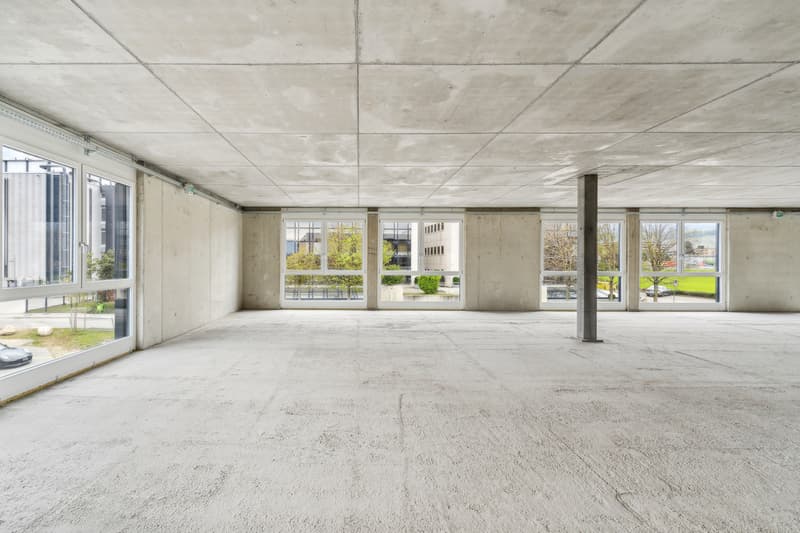Nouveau à Gland - Surface commerciale - industrielle / 300m2 (4)