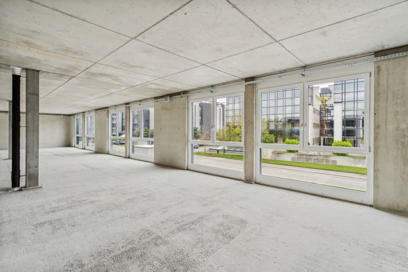 Nouveau à Gland - Surface commerciale - industrielle / 300m2 (5)