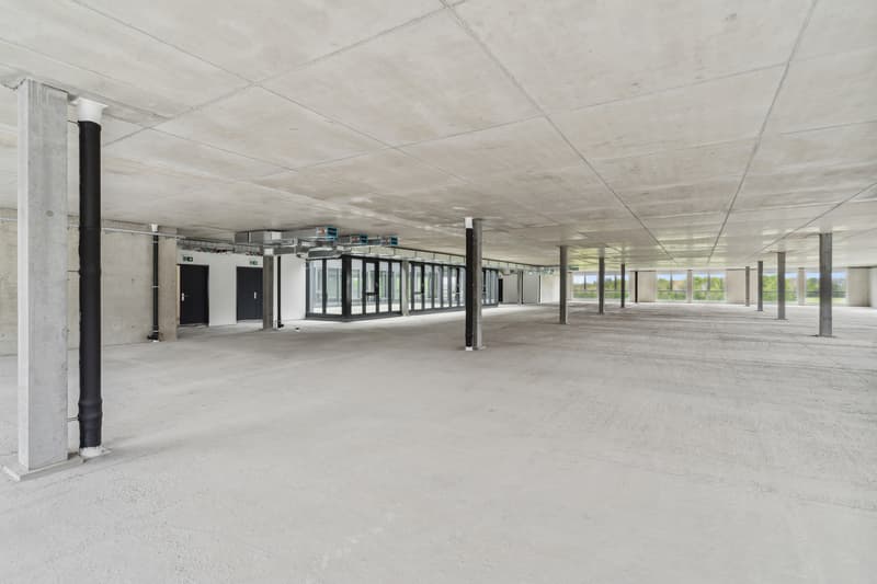 Nouveau à Gland - Grande surface commerciale - industrielle / 600m2 (4)