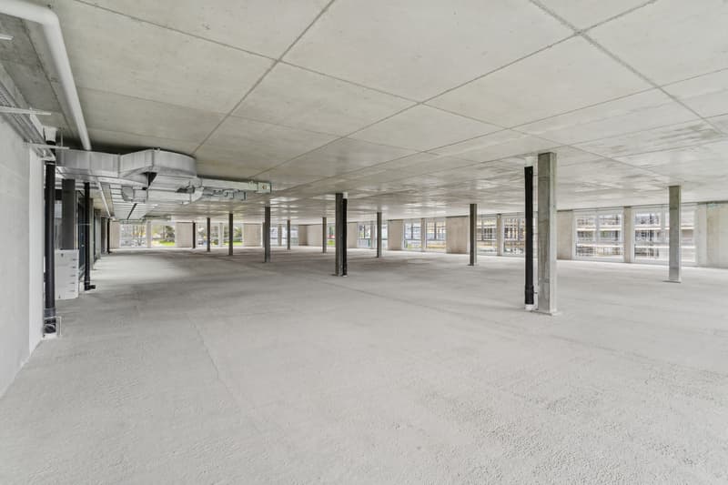 Nouveau à Gland - Grande surface commerciale - industrielle / 1'200m2 (5)
