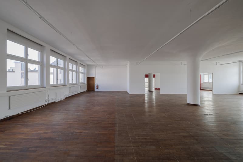 Espace commercial avec charme et possibilités diverses (6)