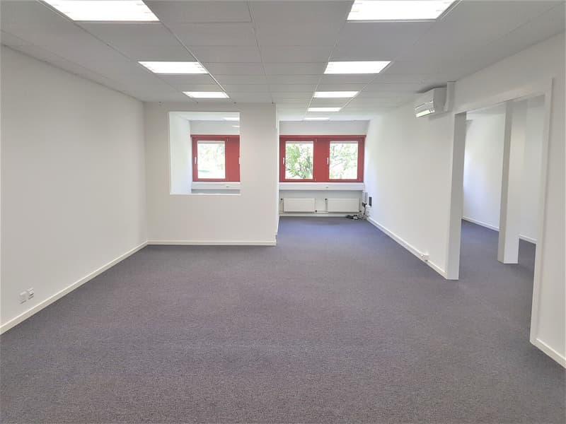 Bureau 138m² + dépôt 8m² en excellent état - Libre de suite (2)