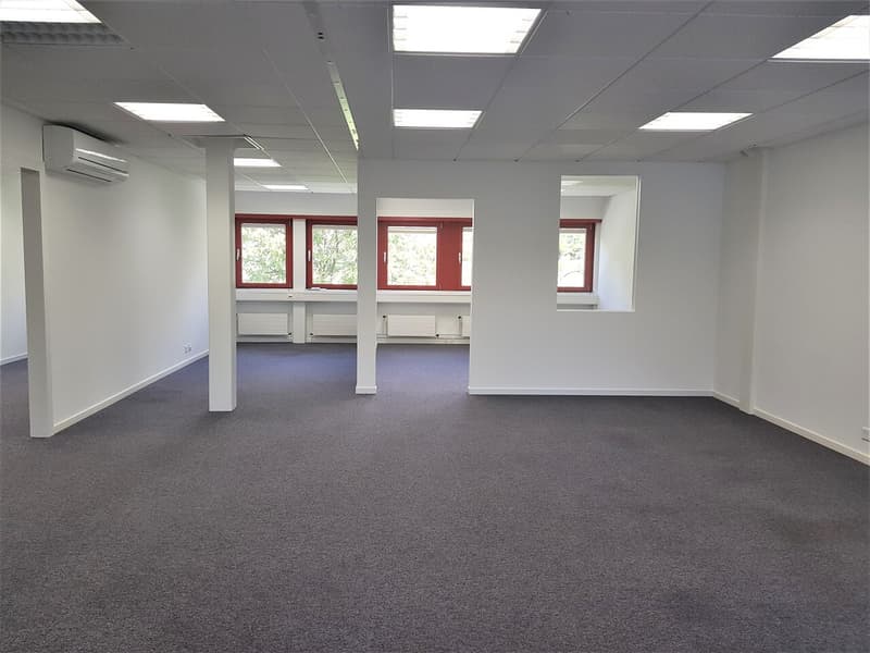Bureau 138m² + dépôt 8m² en excellent état - Libre de suite (4)