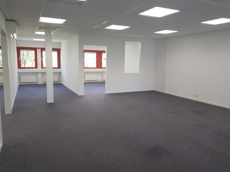 Bureau 138m² + dépôt 8m² en excellent état - Libre de suite (6)