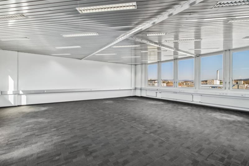 Vetta di Dietikon - Il tuo spazio ufficio con vista spettacolare! (4)