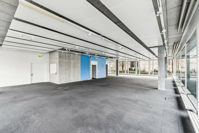 Modern and bright office space in Steinhausen - available for immediate occupancy (3)