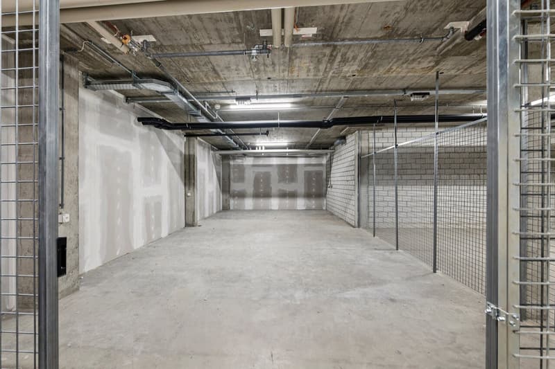 Lagerfläche mit 280 m² - Vielseitige Nutzungen möglich! (2)