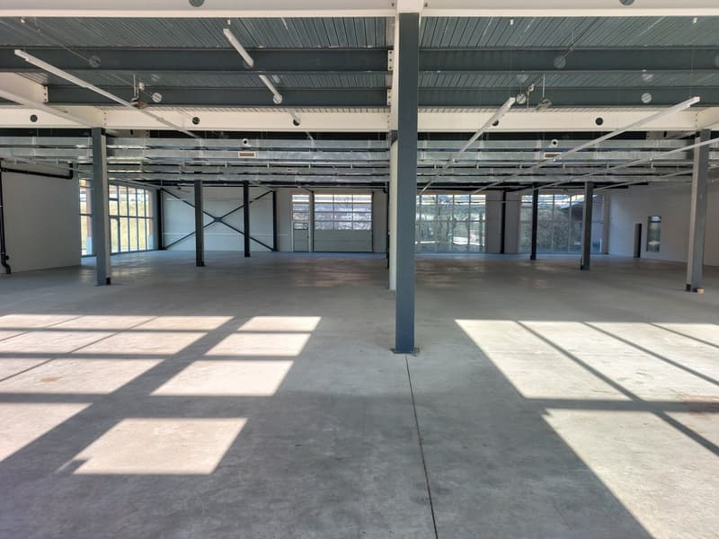 Atelier/dépôt 500m2  à Puidoux - Proche autoroute (4)